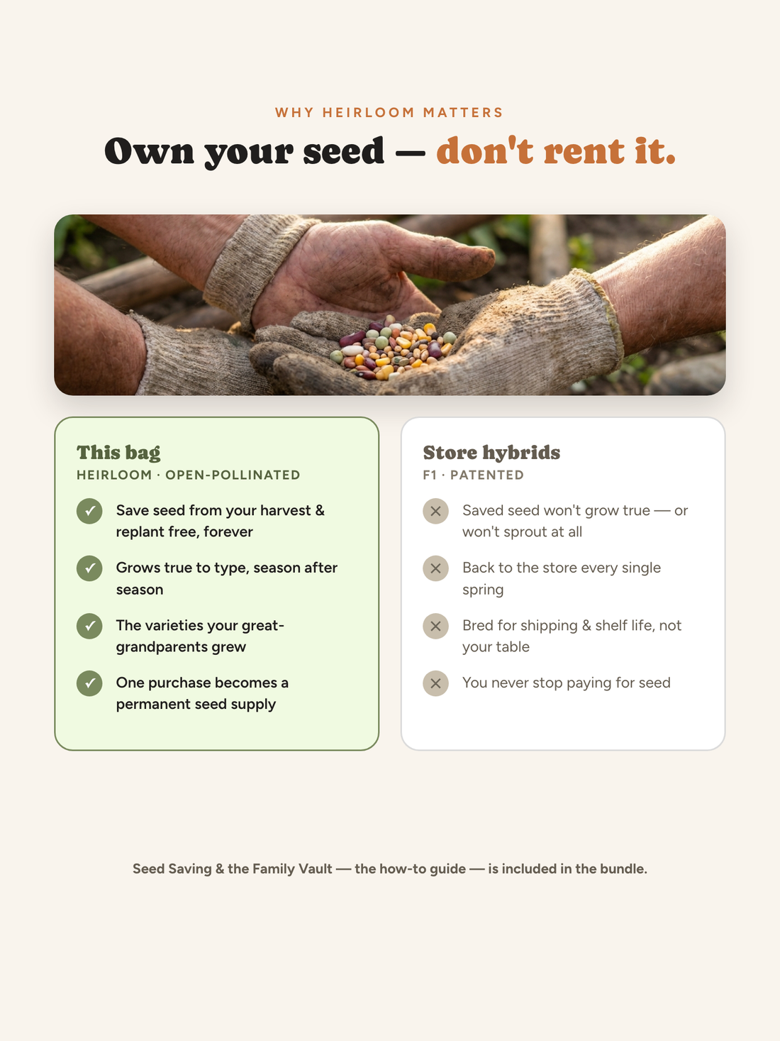 Heirloom open-pollinated seed vs store hybrid seed comparison — save and replant your own seed forever
