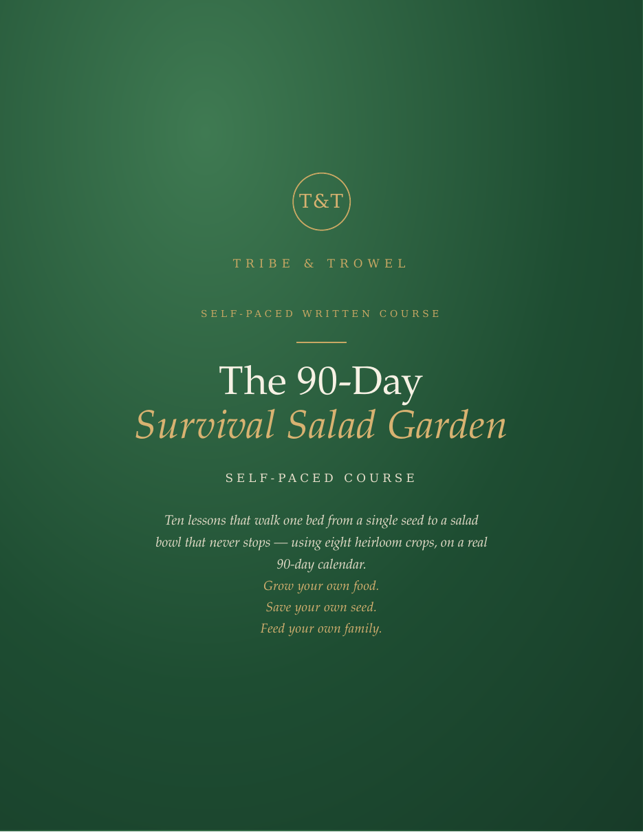 The 90-Day Survival Salad Garden course