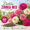 Dahlia Zinnia Flower Mix Seeds