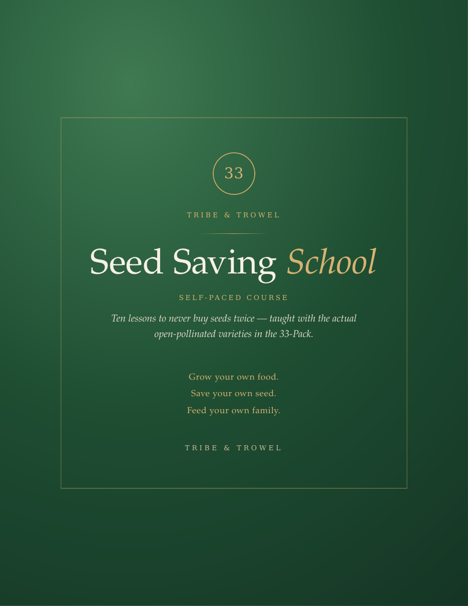 Seed Saving School course