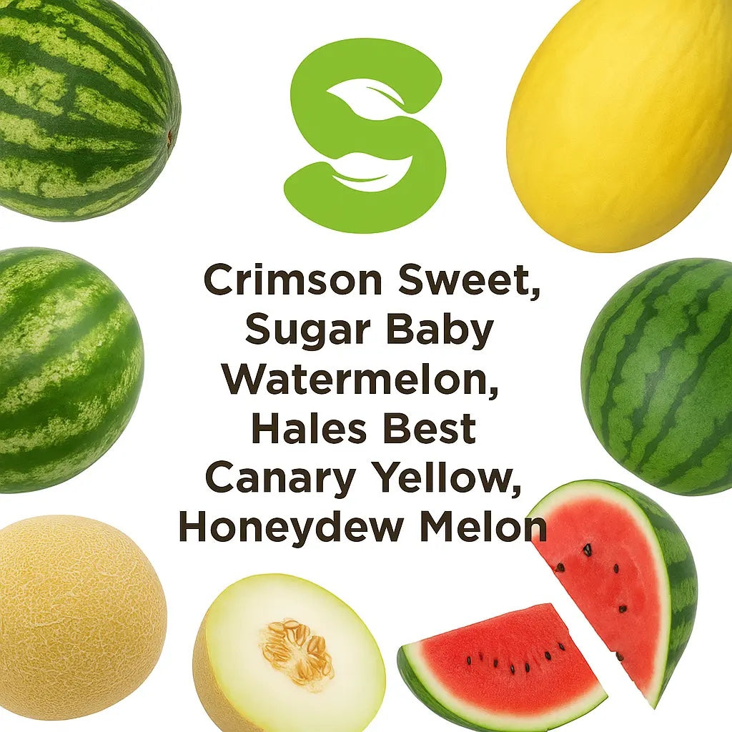 5-Pack Heirloom Melon Assortment — watermelon, cantaloupe, honeydew, canary