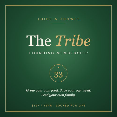 The Tribe — Founding Membership, $199/year locked for life